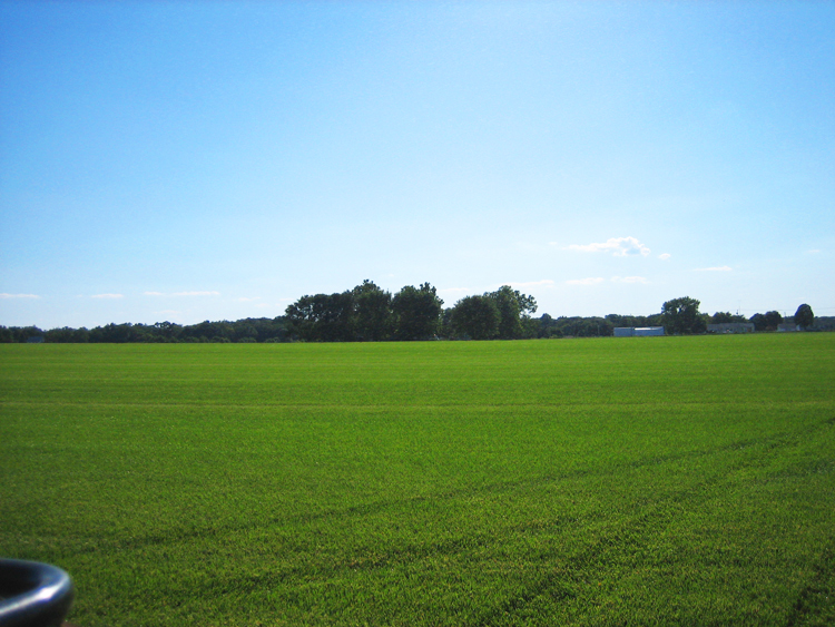 photo02